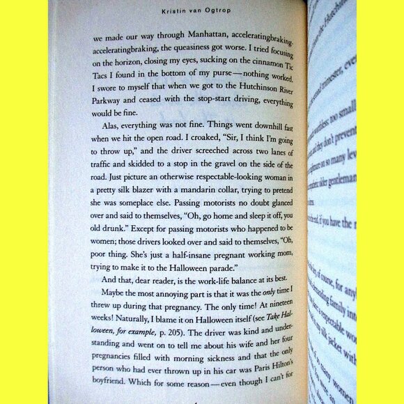 Book - Just Let Me Lie Down: Necessary Terms for the Half-Insane Working Mom - Picture 5 of 12